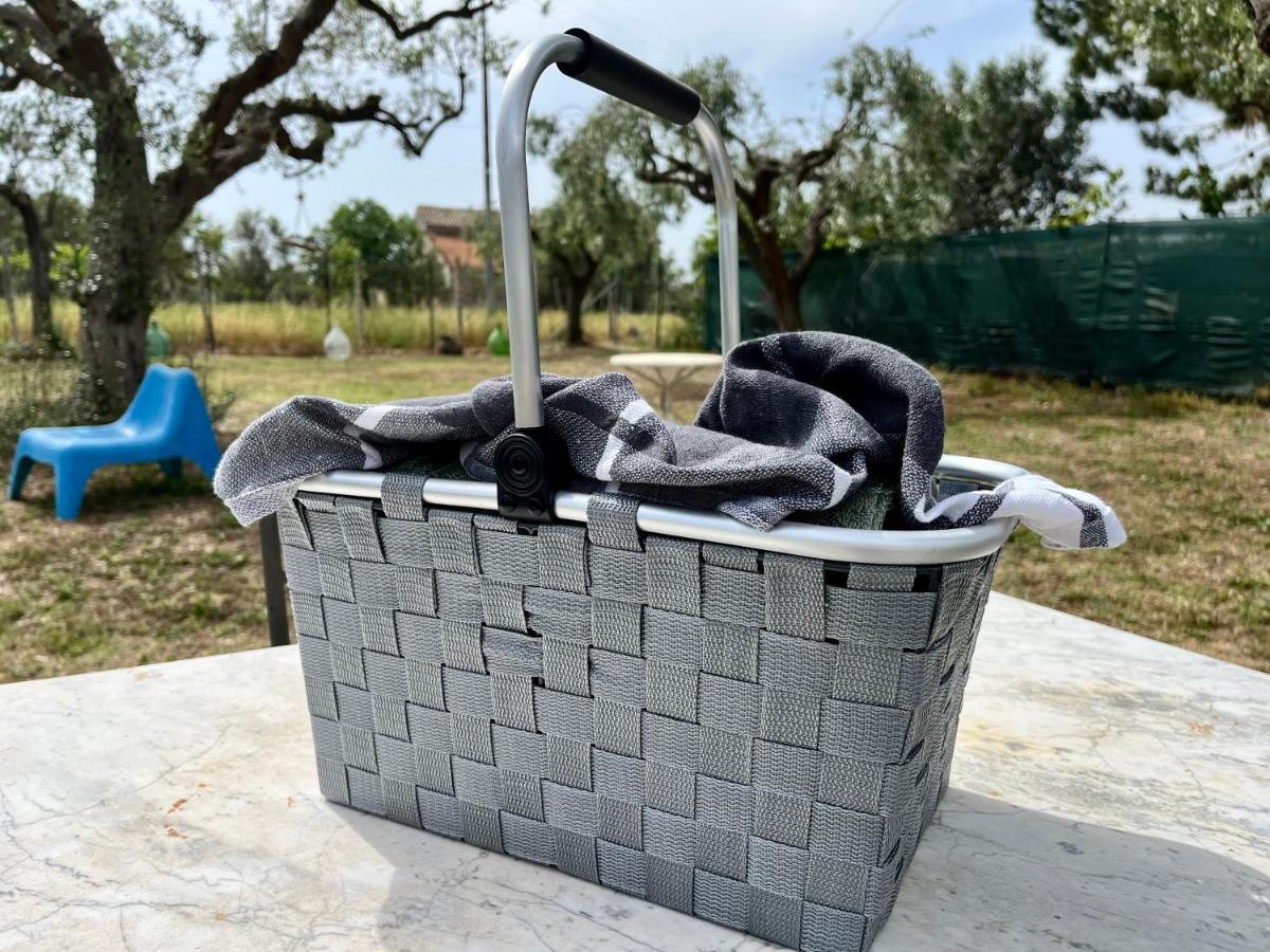 Ripari Di Giobbe Guest house
