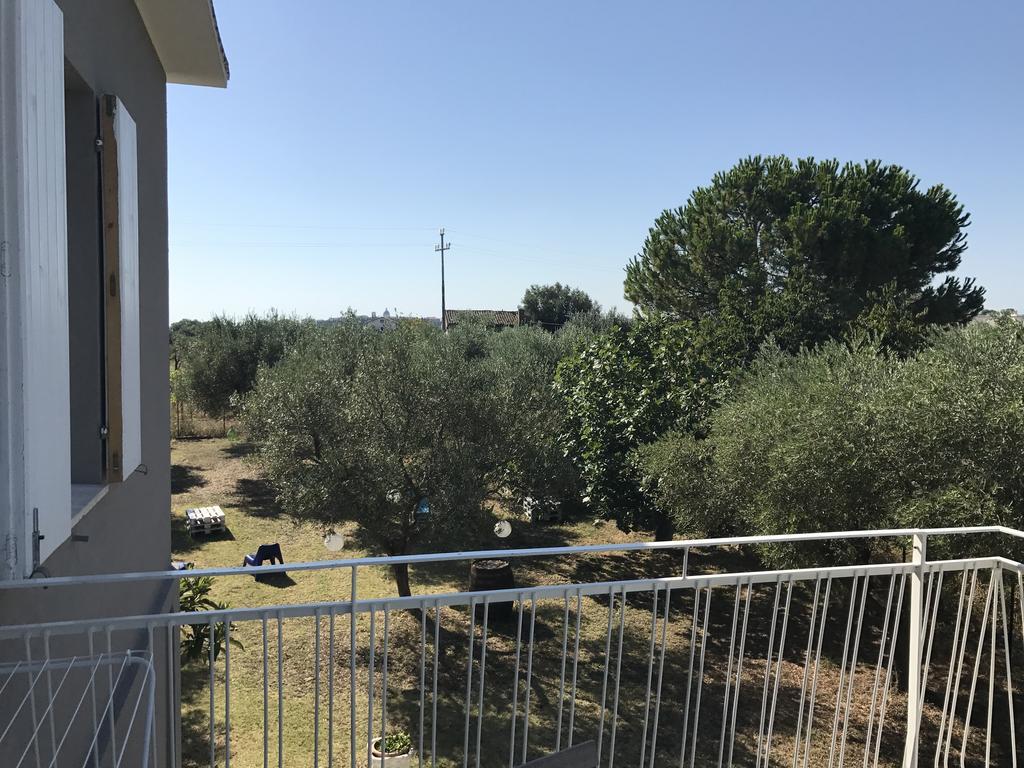 Ripari Di Giobbe